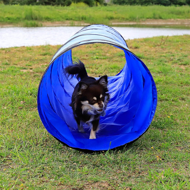 lionto Outdoor Tunnel robust für grosse &amp; kleine Hunde, 200x40 cm, Faltbarer Spieltunnel für Kinder