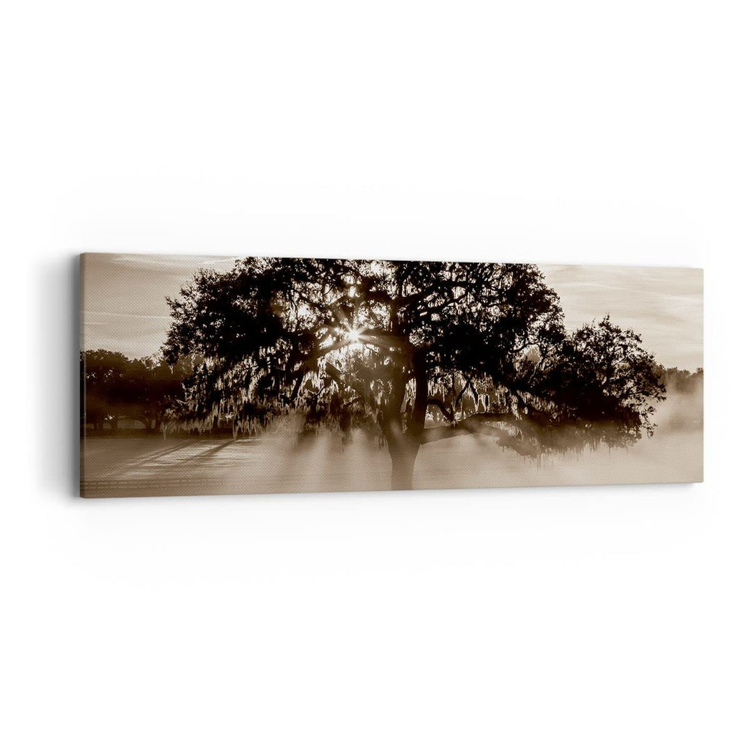 Panorama Bilder auf Leinwand Baum Feld Natur Leinwandbild mit Rahmen 90x30cm Wandbilder Dekoration W