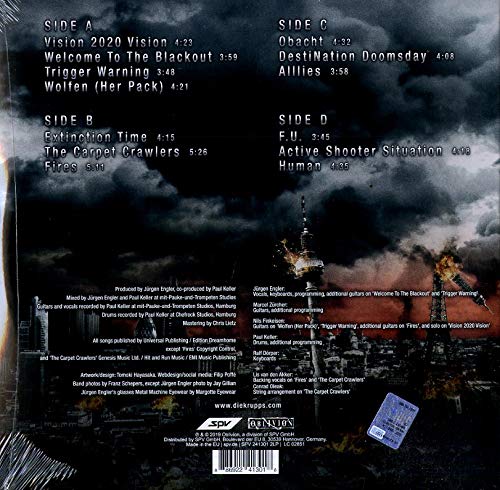 Vision 2020 Vision, Vinyl
