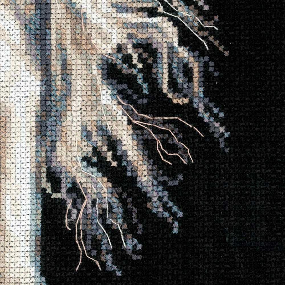 Riolis Kreuzstich-Set Andalusische Charakter Gezählt Set, Schwarz