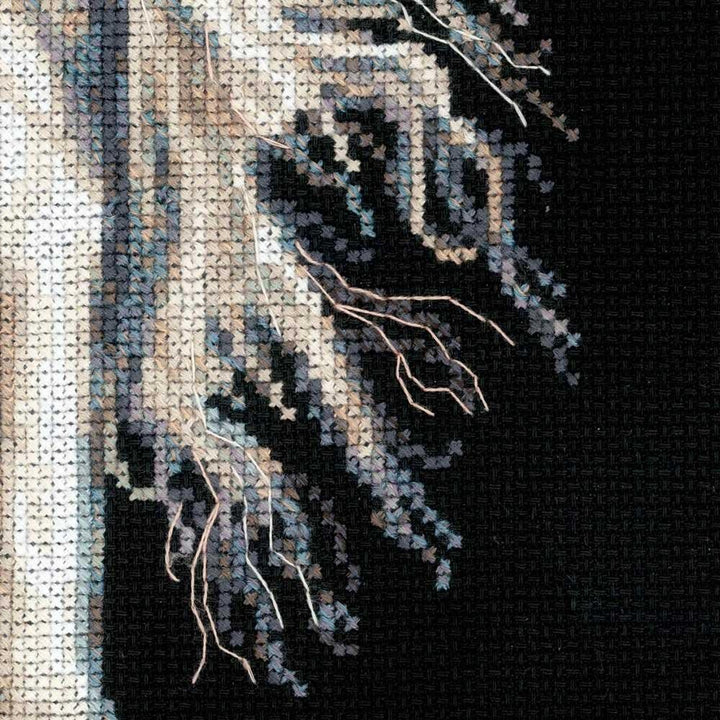 Riolis Kreuzstich-Set Andalusische Charakter Gezählt Set, Schwarz