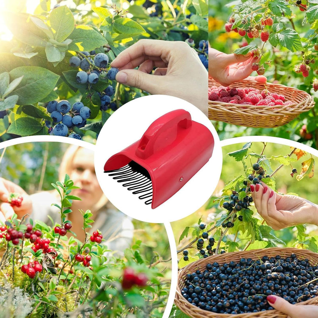 Beerenpflücker Obsternteschaufel mit Handgriff | Heidelbeerrechen für Aussenbereich, Gartenanlage, F