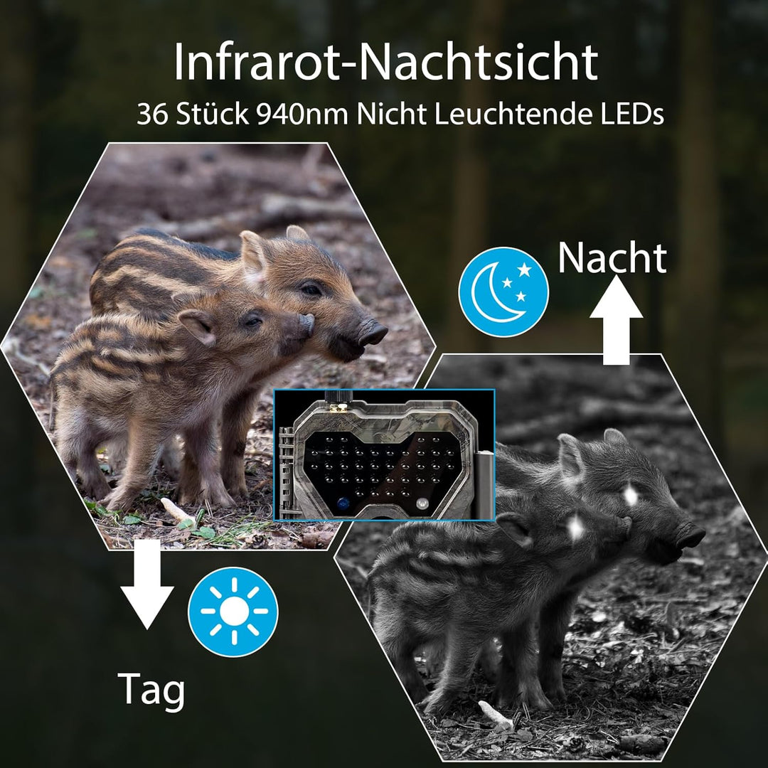 Meidase P300 Wildkamera, WiFi Bluetooth 50m Verbindungsreichweite, Dual Antenne, 64mp 1296p, Nachtse