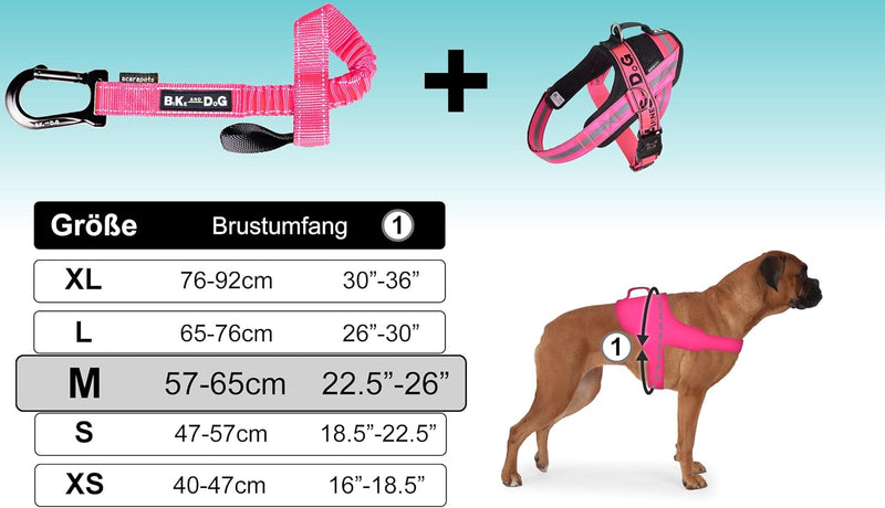 BIKE AND DOG - Hundeleine und Hundegeschirr für das Fahrrad, Geschirr mit 3 Ringen, Davon 2 seitlich