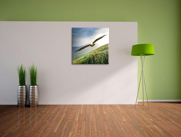 Pixxprint Majestätischer Weisskopfseeadler als Leinwandbild/Grösse: 70x70 cm/Wandbild/Kunstdruck/fer