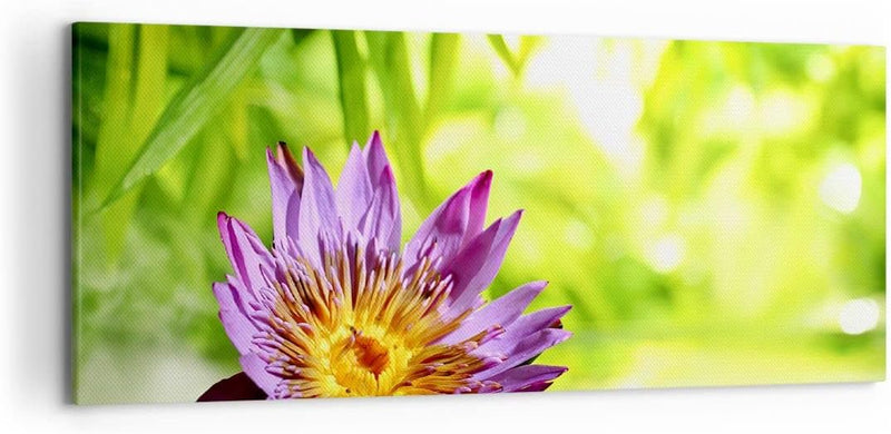 Wandbilder Dekoration Wohnzimmer Asien spa bambus blume Panorama Bilder auf Leinwand 120x50cm Leinwa