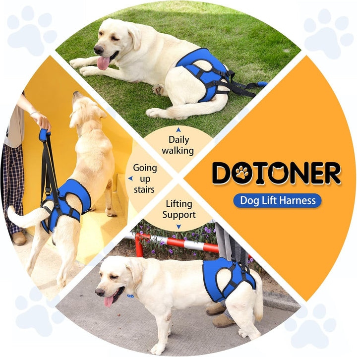 Dotoner Tragehilfe Hund, Anpassbare Tragehilfe für Alle Hundegrössen, Stabiler Beinsupport & Treppen