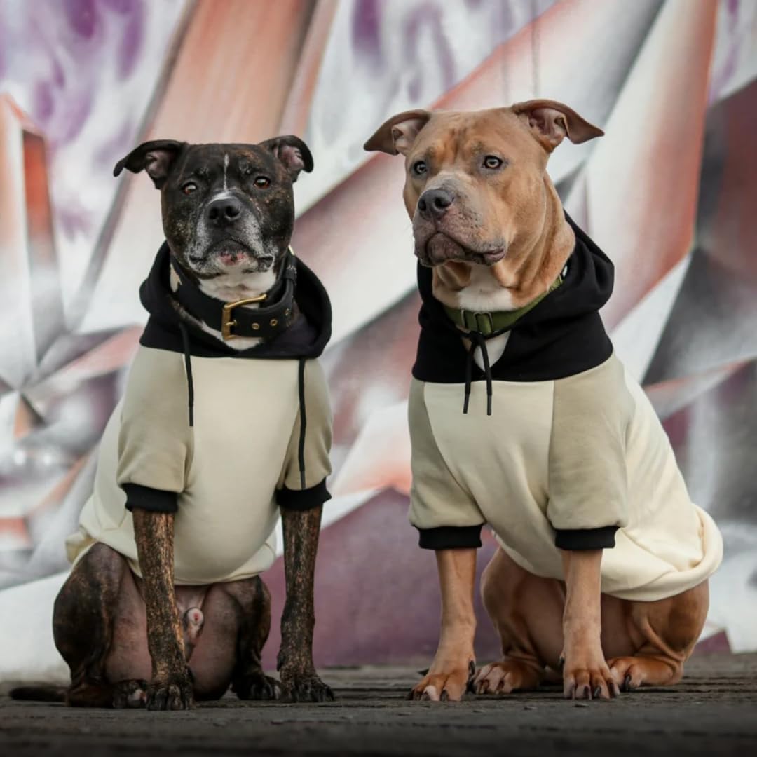 Spark Paws Hunde Hoodie Sweatshirt Pullover - Premium Qualität, weich, Komfortabel und passend für g