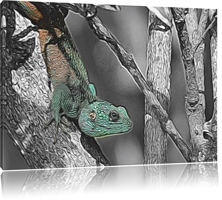 prächtiger Agama auf Baumast schwarz/weiss Deluxe Format: 100x70 cm auf Leinwand, XXL riesige Bilder