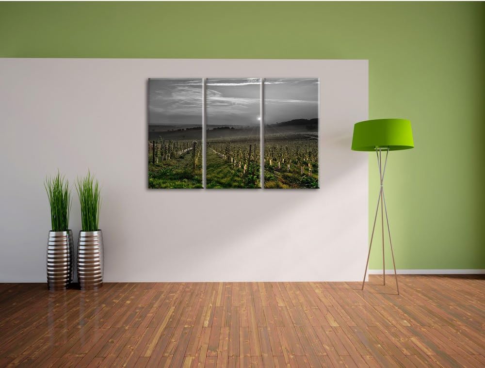 Pixxprint Weinberg in Bergerac Frankreich / 3-Teilig/Gesamtmass 120cm Leinwandbild bespannt auf Holz
