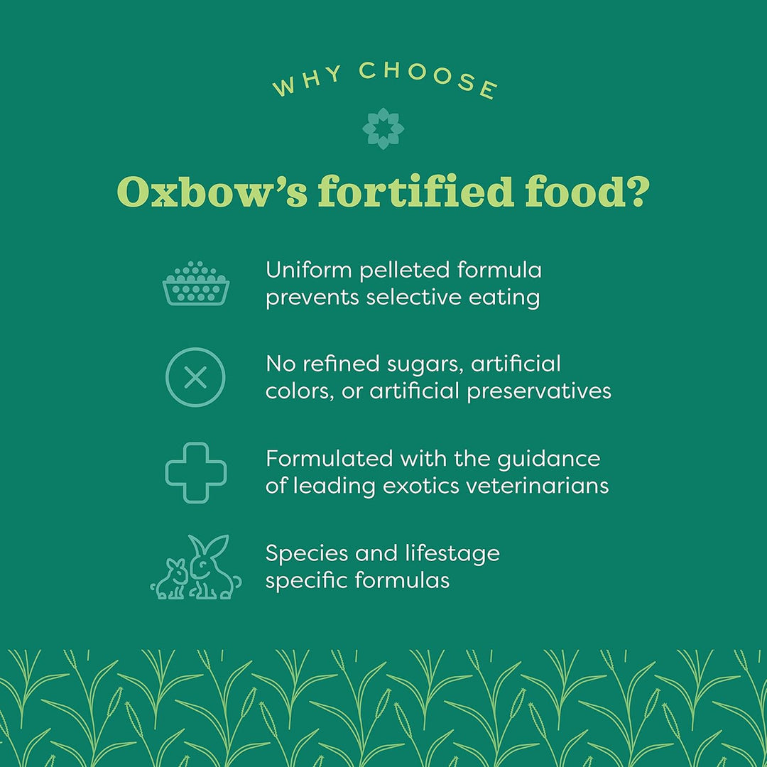 Oxbow Essentials Chinchilla Food – 4,5 kg 4.53 kg (1er Pack), 4.53 kg (1er Pack)