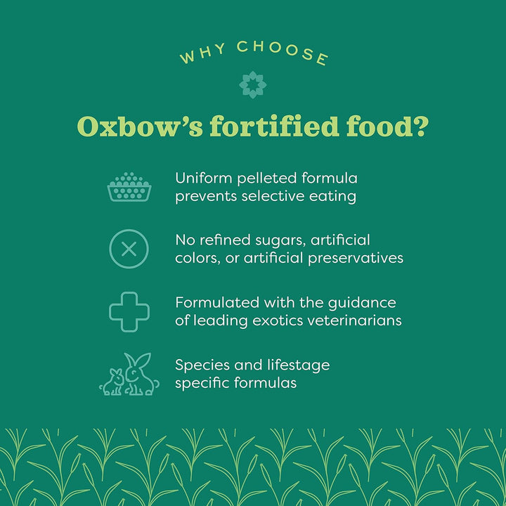 Oxbow Essentials Chinchilla Food – 4,5 kg 4.53 kg (1er Pack), 4.53 kg (1er Pack)