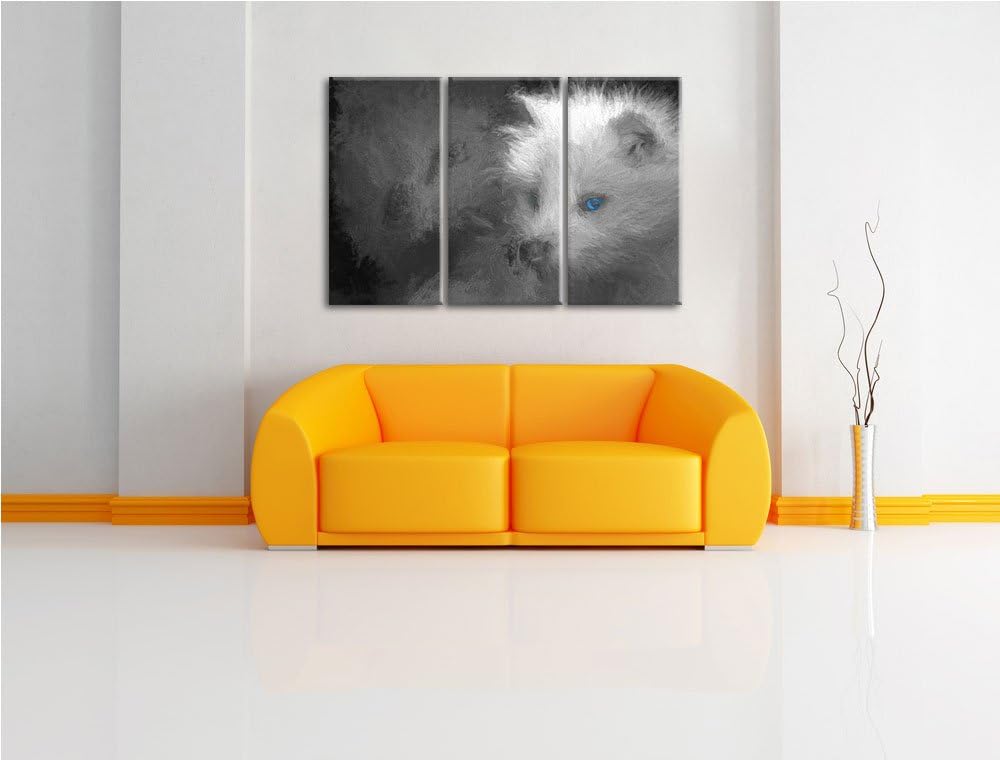 hübscher Polarfuchs in Höhle schwarz/weiss Deluxe 3-Teiler Leinwandbild 120x80 Bild auf Leinwand, XX