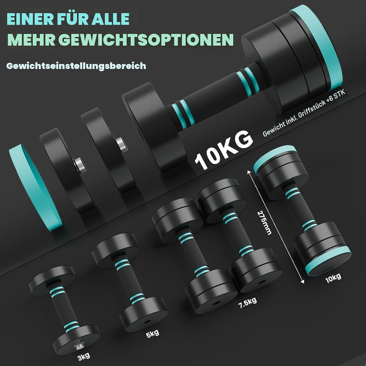 Dripex Hanteln Set, Verstellbare Kurzhanteln 2er Set oder Einzeln aus Stahl, Gewicht von Einzelnen H