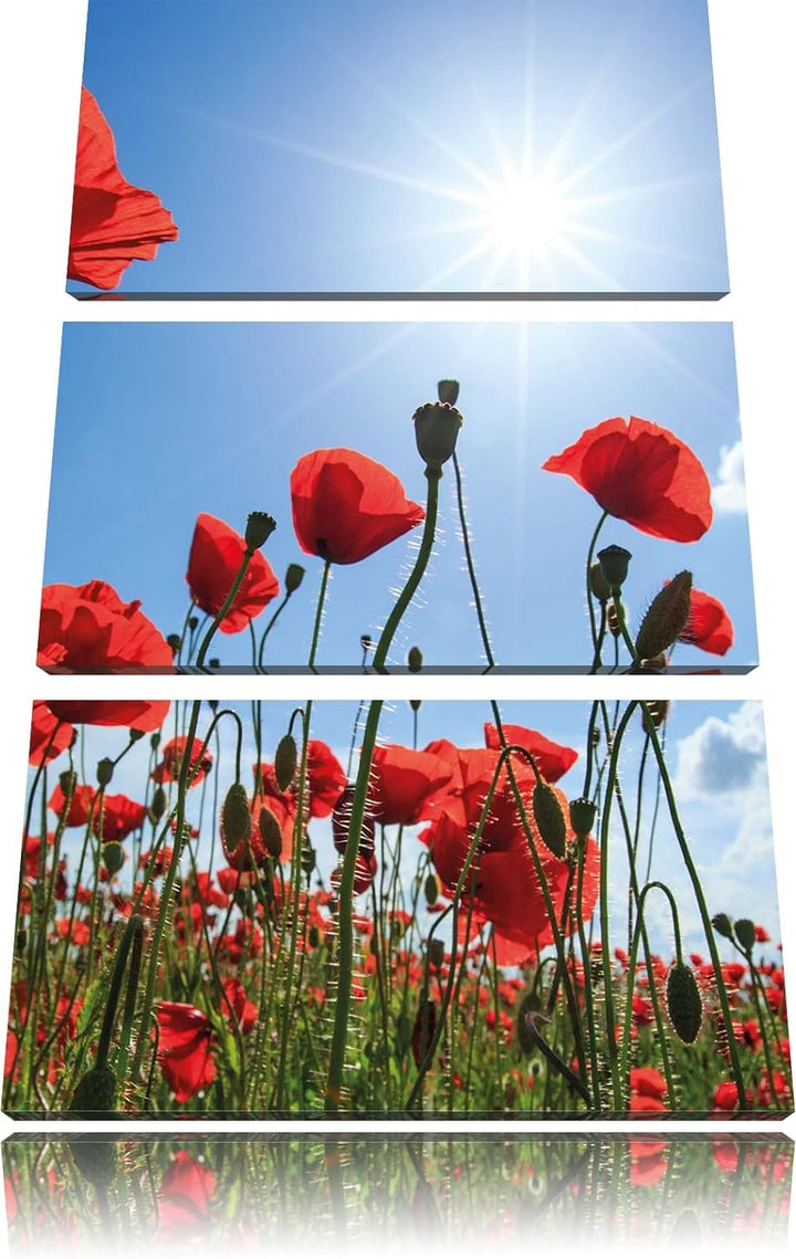 Pixxprint Mohnblumen als Leinwandbild - Grösse: 3-Teilig (120x80cm) - Wandbild - Kunstdruck - fertig
