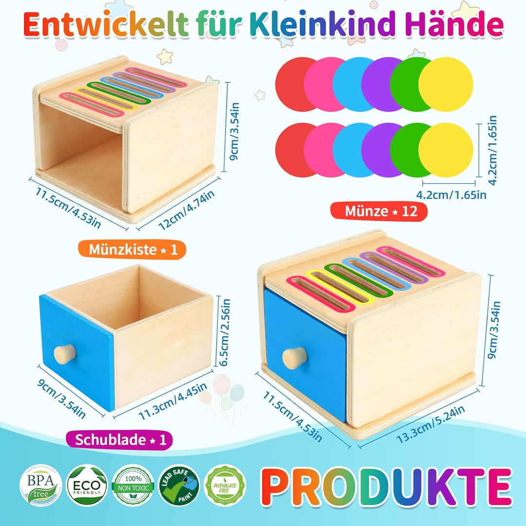 FCSONU Kinder Montessori Spielzeug ab 1 2 3 Jahre Jungen Mädchen, Holzspielzeug ab 1 Jahr, Farbe Sor