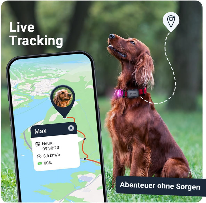 PAJ GPS Tracker 4G Mini für Hunde - inkl. 3 Monate Premium Zugang + MINI LED-Licht, Weglaufalarm+Hun