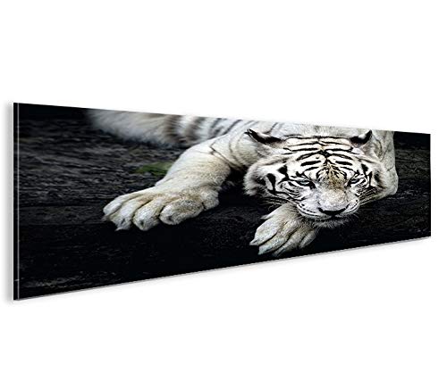 islandburner Bild Bilder auf Leinwand Bengalischer Tiger V2 Panorama XXL Poster Leinwandbild Wandbil