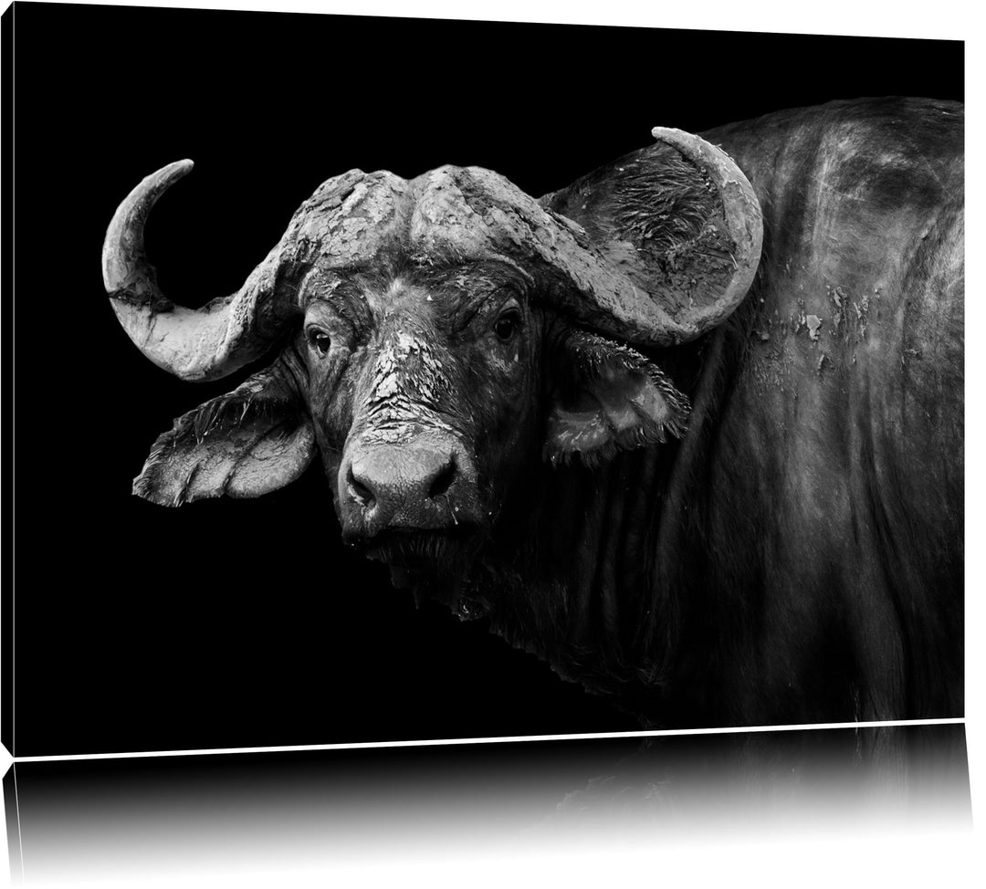 Pixxprint Dark Wasserbüffelformat: 100x70auf Leinwand, XXL riesige Bilder fertig gerahmt mit Keilrah