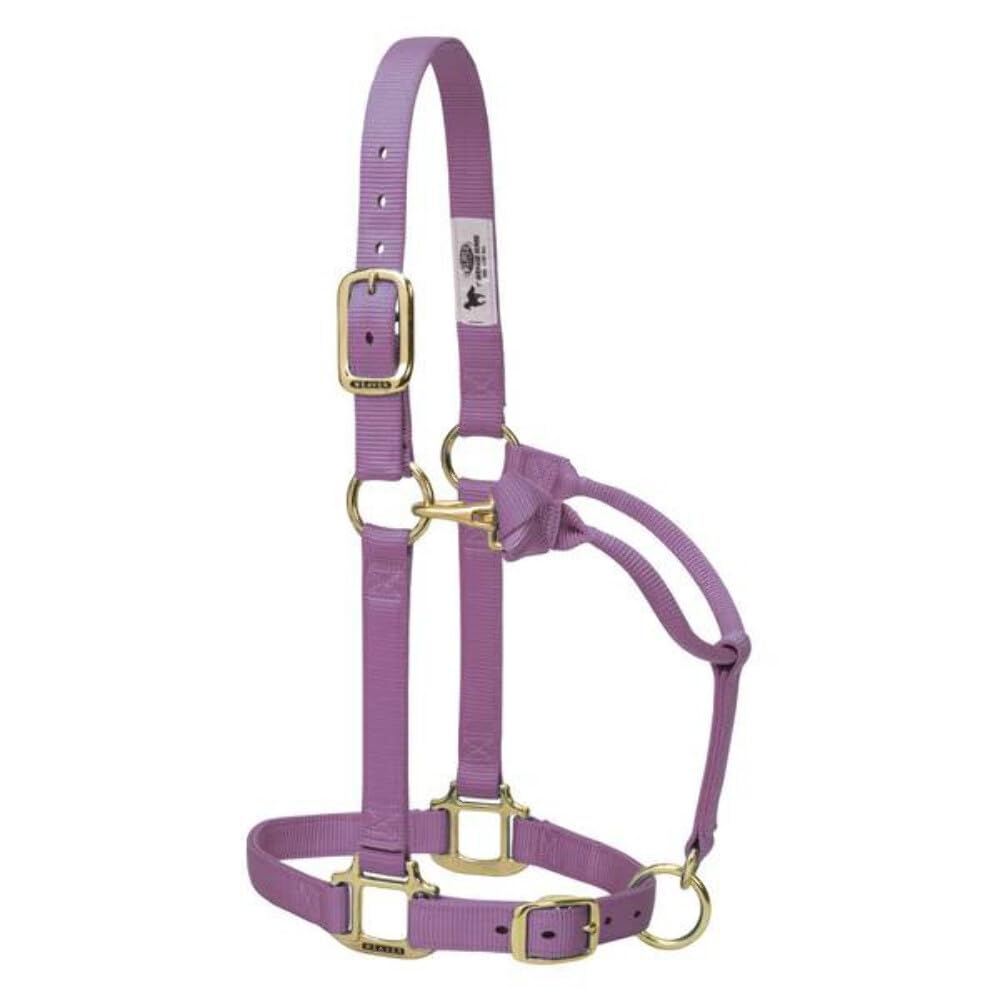 Weaver Leather Original verstellbares Nylonhalfter für Pferde 1" Large Horse lavendel, 1" Large Hors