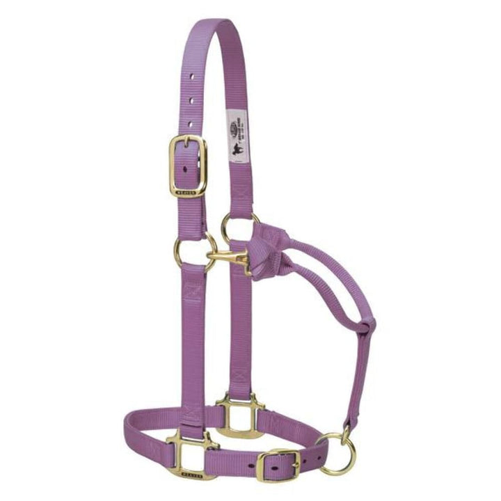 Weaver Leather Original verstellbares Nylonhalfter für Pferde 1" Large Horse lavendel, 1" Large Hors