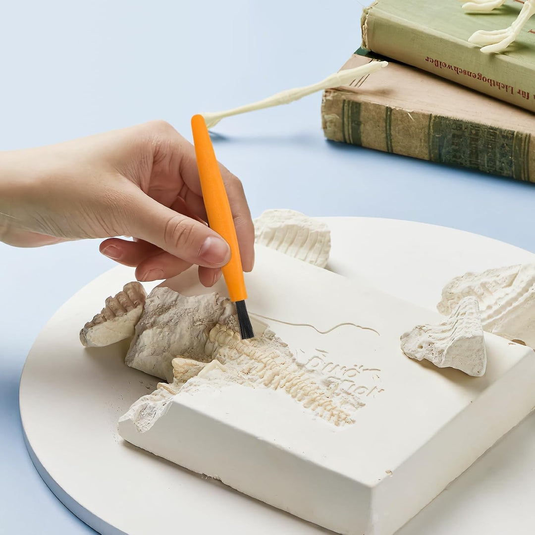 BESTonZON Kinderwerkzeuge Set Ausgrabungsset Mit Hammer Meissel Pinsel Schaber 3 Stück Entdeckerspie