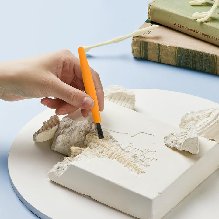 BESTonZON Kinderwerkzeuge Set Ausgrabungsset Mit Hammer Meissel Pinsel Schaber 3 Stück Entdeckerspie