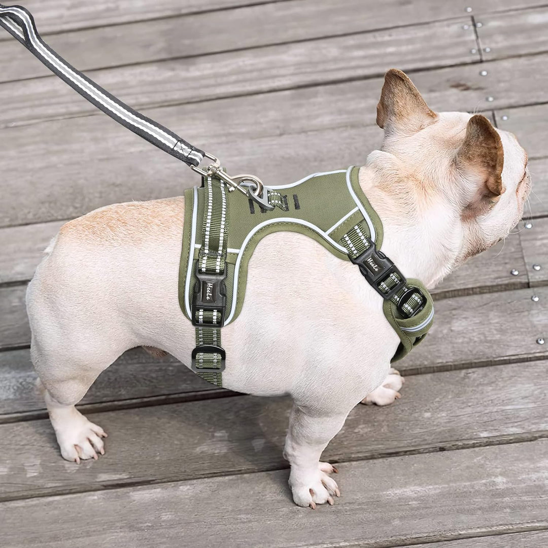 HEELE Hundegeschirr, Hundegeschirr für Kleine Hunde, Freigabe am Hals, Vorderseite Rückseite Clips H