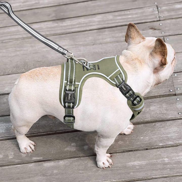 HEELE Hundegeschirr, Hundegeschirr für Kleine Hunde, Freigabe am Hals, Vorderseite Rückseite Clips H