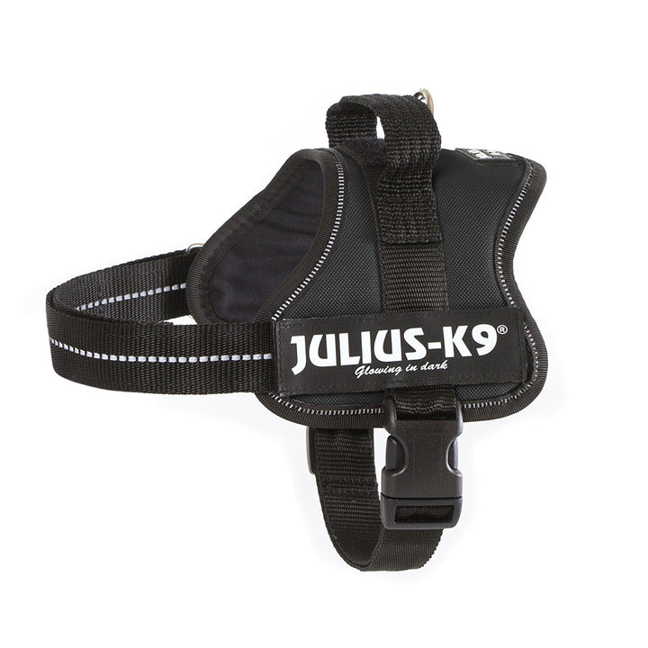 K9 Powergeschirr, Grösse: S/Mini, Schwarz Violett 2XL/3, Violett 2XL/3