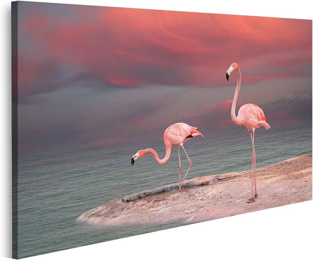 islandburner Bild auf Leinwand Rosa Flamingo Florida Am Strand Bilder Wandbilder Poster, 80L x 40B c