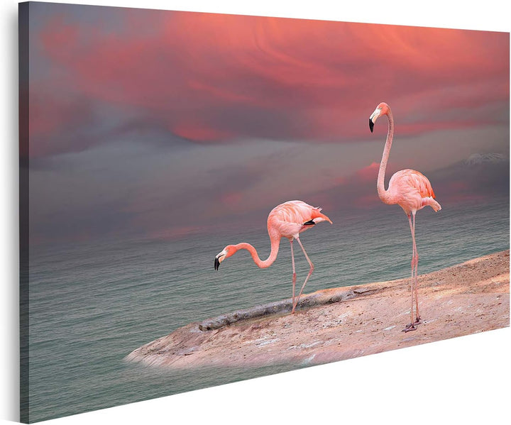 islandburner Bild auf Leinwand Rosa Flamingo Florida Am Strand Bilder Wandbilder Poster Leinwand 100