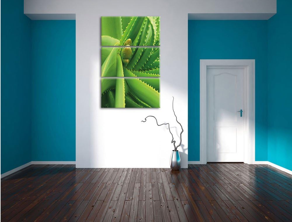 Pixxprint Aloe Vera als Leinwandbild/Grösse: 3 Teilig (120x80) cm/Wandbild/Kunstdruck/fertig bespann