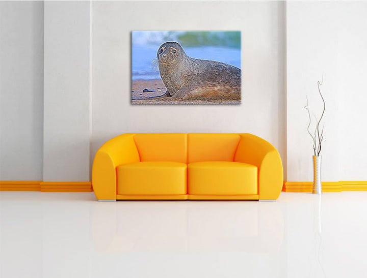 niedliche Robbe am Strand Spezial Format: 100x70 cm auf Leinwand, XXL riesige Bilder fertig gerahmt