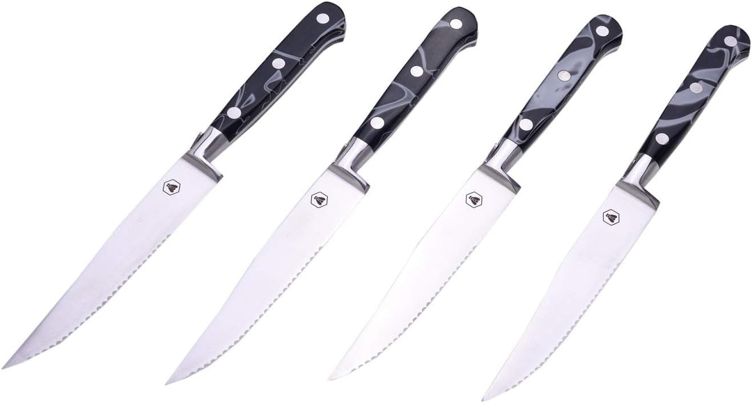 LAGUIOLE - Laguiole 4268473 Set mit 4 Steakmessern (22 cm) mit Edelstahlklinge und Harzgriff