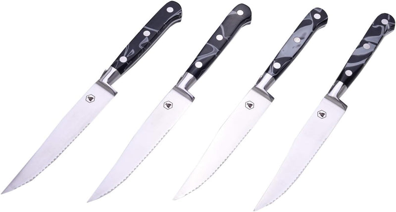 LAGUIOLE - Laguiole 4268473 Set mit 4 Steakmessern (22 cm) mit Edelstahlklinge und Harzgriff