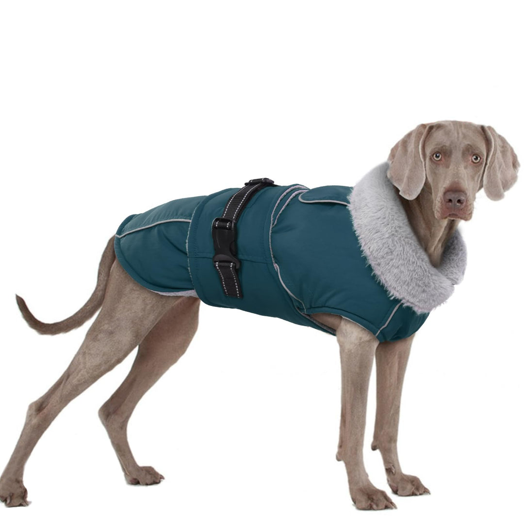 Hundemantel XXXL, Hundejacke Winter Hunde Wintermantel Wasserdicht Hundeweste Winter Warmer Hundepul