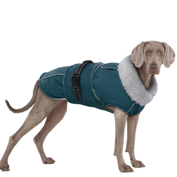 Hundemantel XXXL, Hundejacke Winter Hunde Wintermantel Wasserdicht Hundeweste Winter Warmer Hundepul