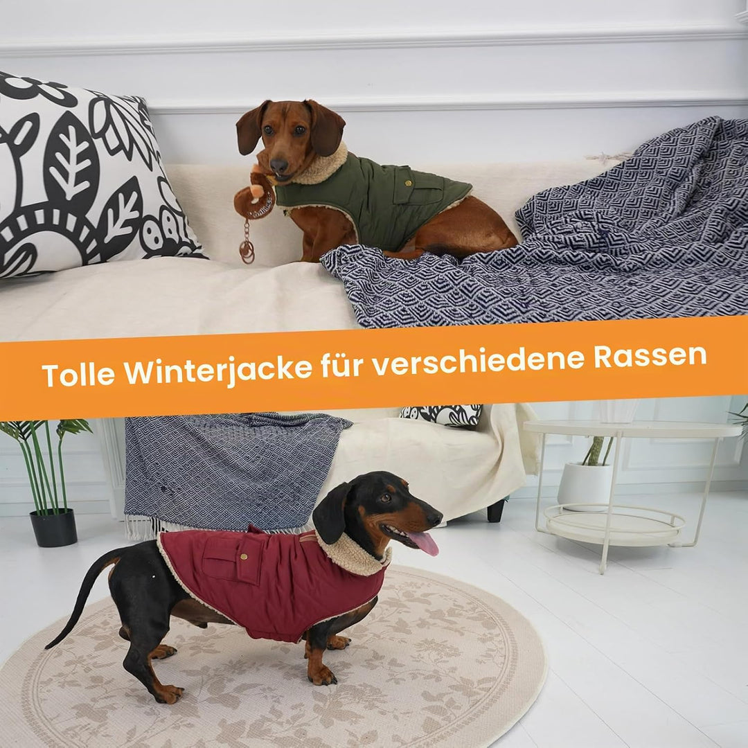 Queenmore Wintermantel Hund Wasserdicht Hundemantel Winter Mittelgrosse Hunde Warme Fleecemantel Hun