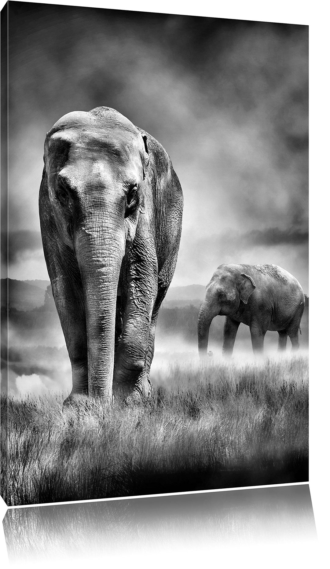 Monocrome, Prächtige Elefanten in Steppe, Format: 100x70 auf Leinwand, 100x70