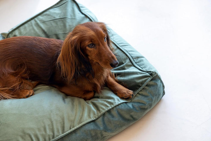 DBL REST CUSH NALINO DOG GREEN Grün 70X55X15 cm, Grün 70X55X15 cm