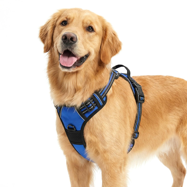 Funfox Hundegeschirr Mittelgrosse Hunde, Anti Zug Brustgeschirr Verstellbares Geschirr Hund, Antizie
