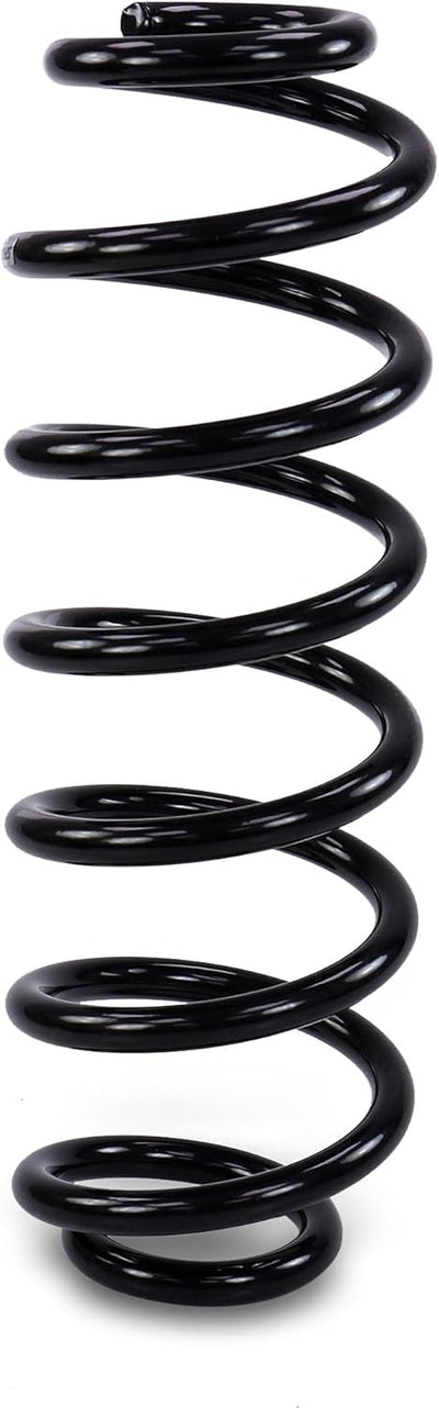 SPIDAN 86484 Fahrwerksfeder