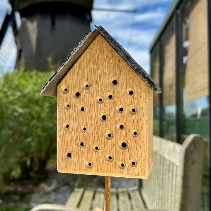 GARTENETAGE Geschenkset Bienenoase – Wildbienenhotel aus Eichenholz mit Schieferdach & Blumenwiese M