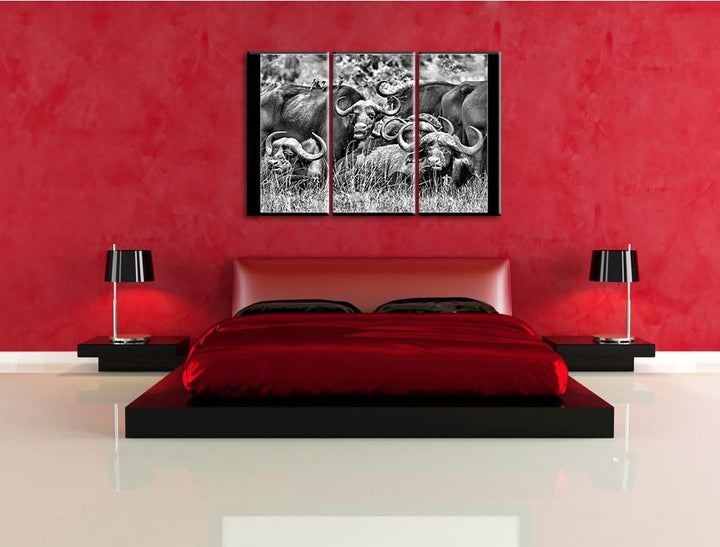 Pixxprint Monocrome, grosse Kaffernbüffel Herde 3-Teiler Leinwandbild 120x80 Bild auf Leinwand