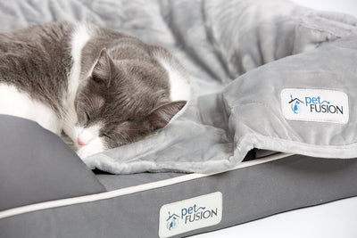 PetFusion Premium Plus Haustierdecke, gesteppt, Verschiedene Grössen für Hunde und Katzen., Small (3