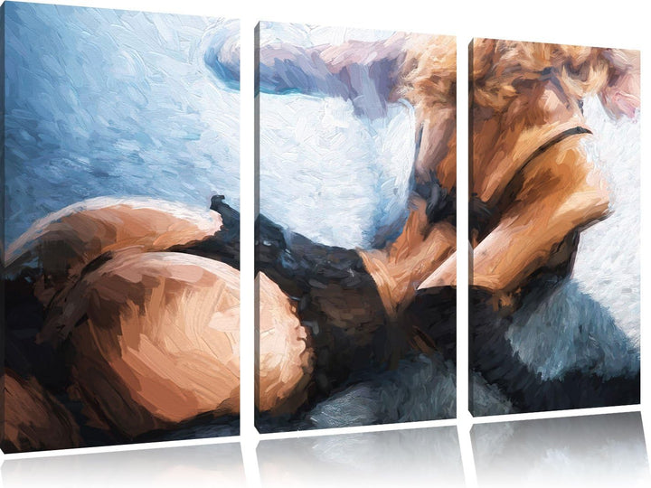 Pixxprint Frau in sexy Dessous als Leinwandbild/Grösse: 3 Teilig (120x80) cm/Wandbild/Kunstdruck/fer