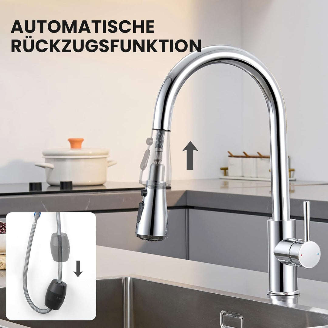 Wasserhahn küche mit Ausziehbar Hochdruck fur Spülbecken - CECIPA Küchenarmatur mit Brause - Edelsta