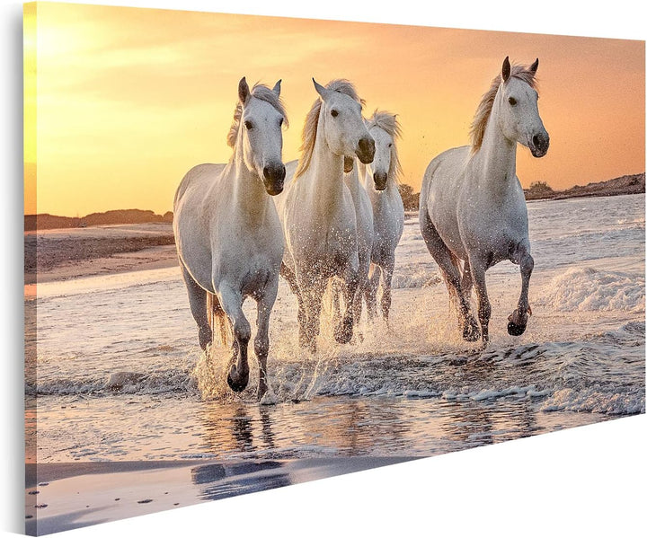 islandburner Bild auf Leinwand Weisse Pferde Camargue Frankreich Galoppierendes Wasser Über Dem Meer