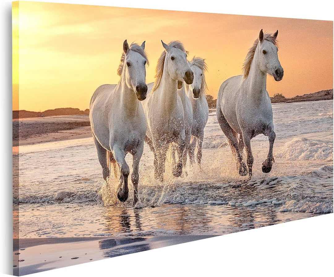 islandburner Bild auf Leinwand Weisse Pferde Camargue Frankreich Galoppierendes Wasser Über Dem Meer